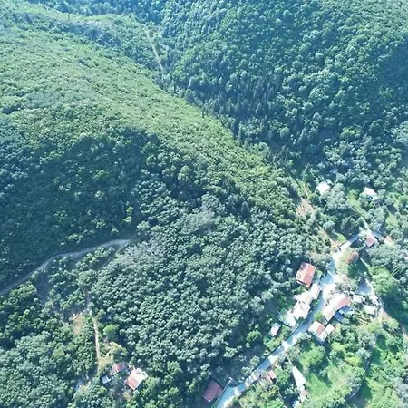 Kır Evi Harry's Retreat
